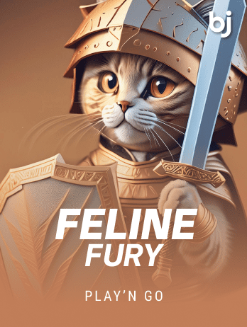 Feline Furypng